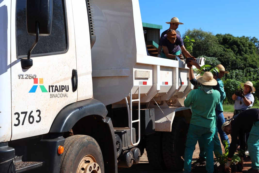 Itaipu composteje