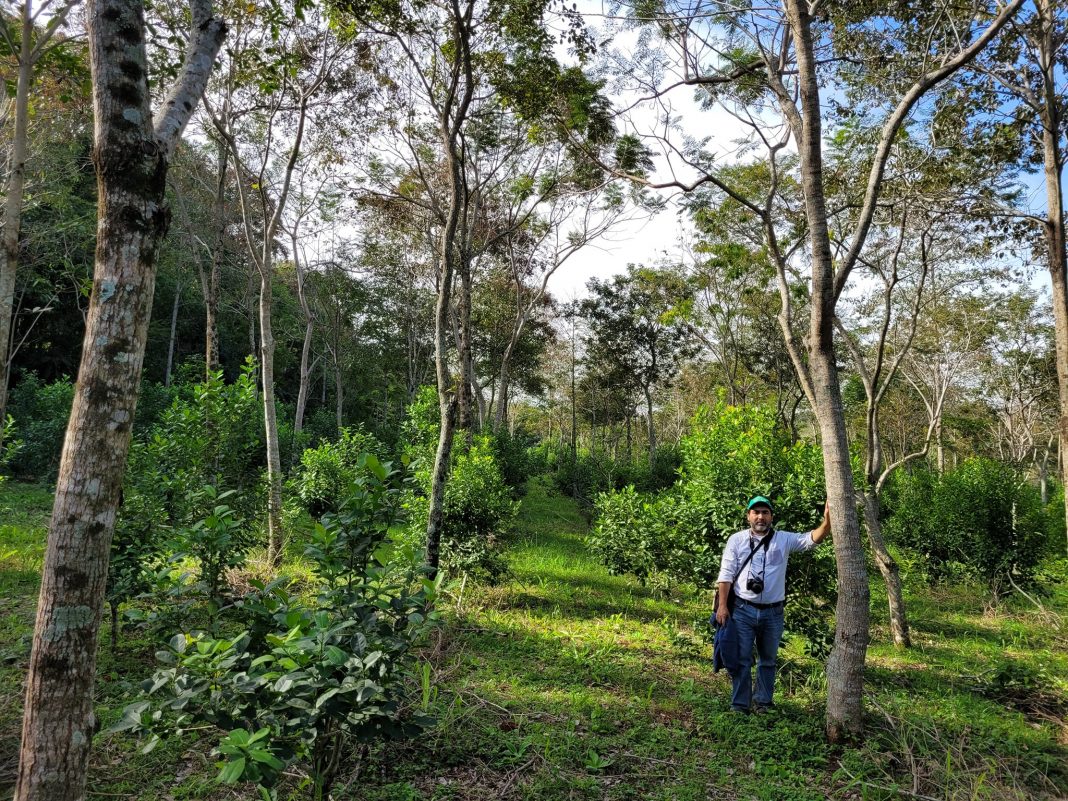 Investigador paraguayo coordinará red iberoamericana sobre biodiversidad