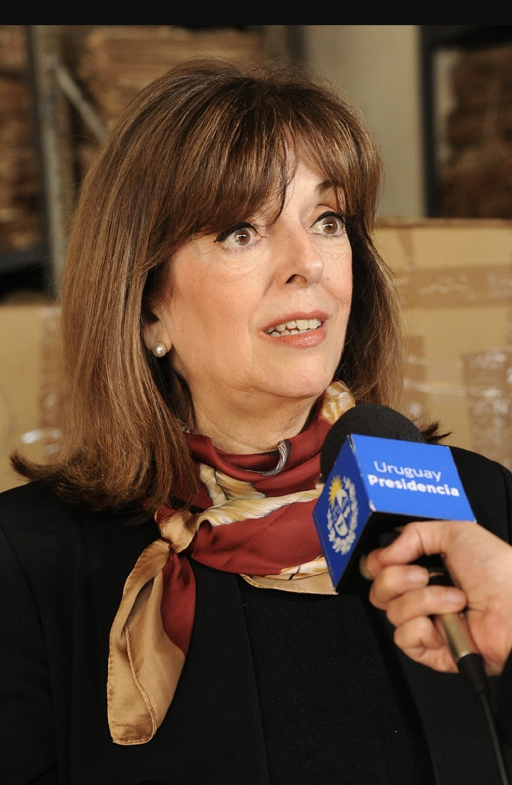 Preparan reconocimiento a renombrada historiadora uruguaya por promover ...