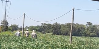 Municipalidad de Ypacaraí recibe apoyo para elaborar su plan de ordenamiento urbano y territorial