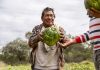 Producción agrícola fortalece la seguridad alimentaria de comunidad indígena en el Chaco