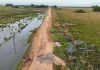 Aprobaron crédito de US$ 286 millones de JICA para construir corredor que conecta Yabebyry con Pilar