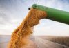 Bolivia: Escasez de combustible presiona sobre precios y declaran “estado de emergencia total”